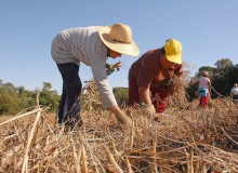 Apenas dois candidatos falam em reforma agrária no plano de governo